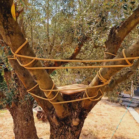 Jardim De Olivia Figueira da Foz